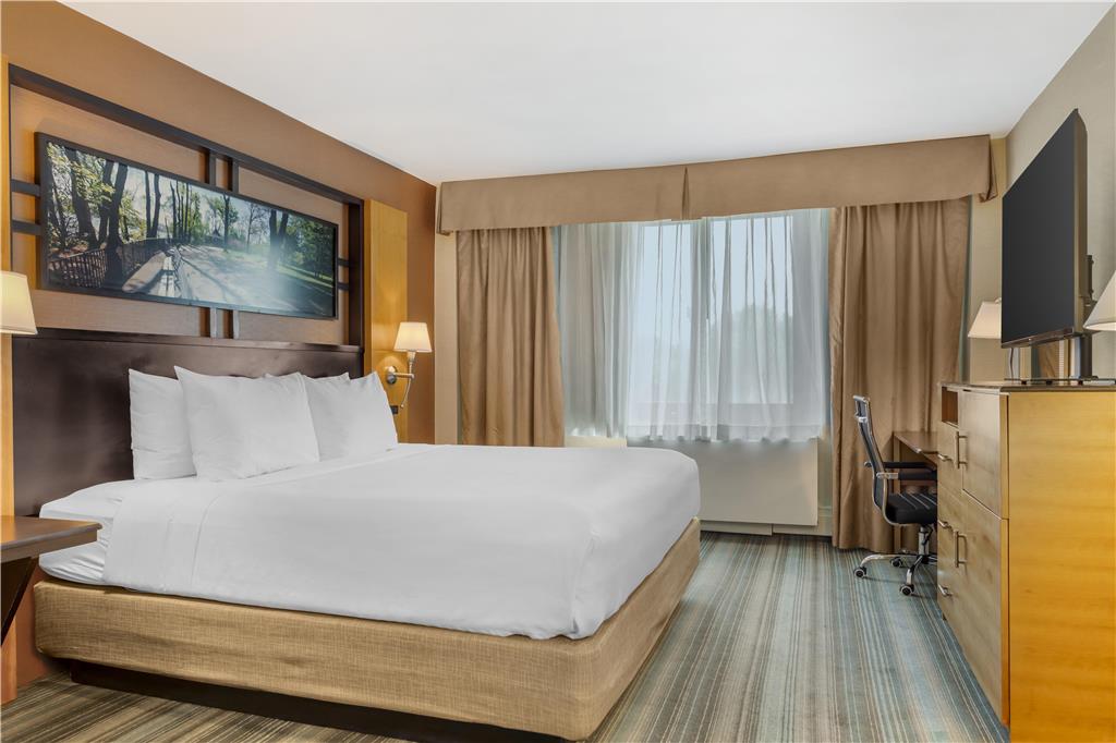 Best Western Queens Gold Coast - photo 25