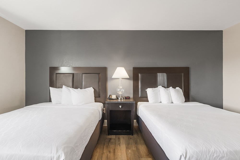 Sutter Inn - photo 8