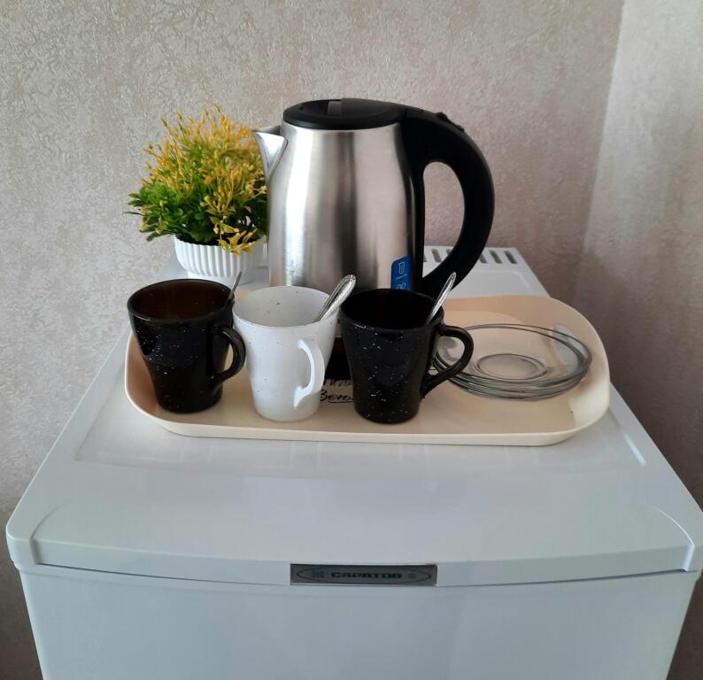 Electra Holiday - carbon neutral hotel in Manaskent