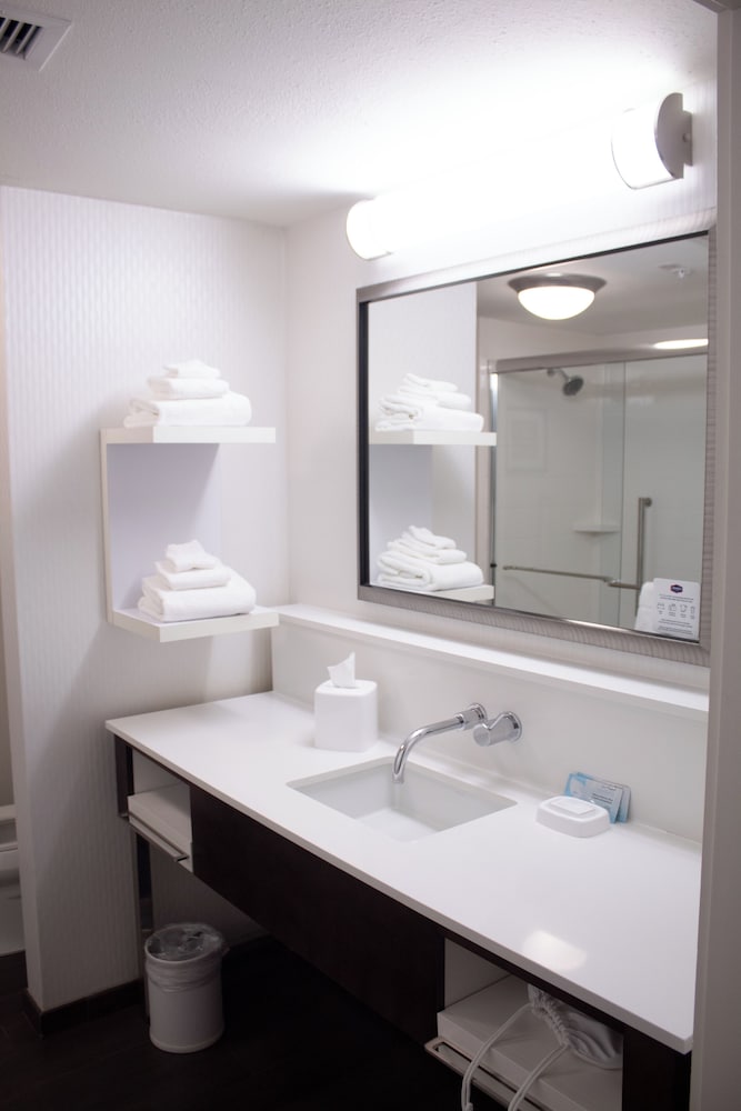 Hampton Inn Big Rapids - photo 23