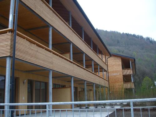 Haus Jelini — Schnepfau — photo 2