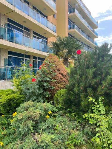 Apart hotel Gallery B in Unknown City, Bulgaria