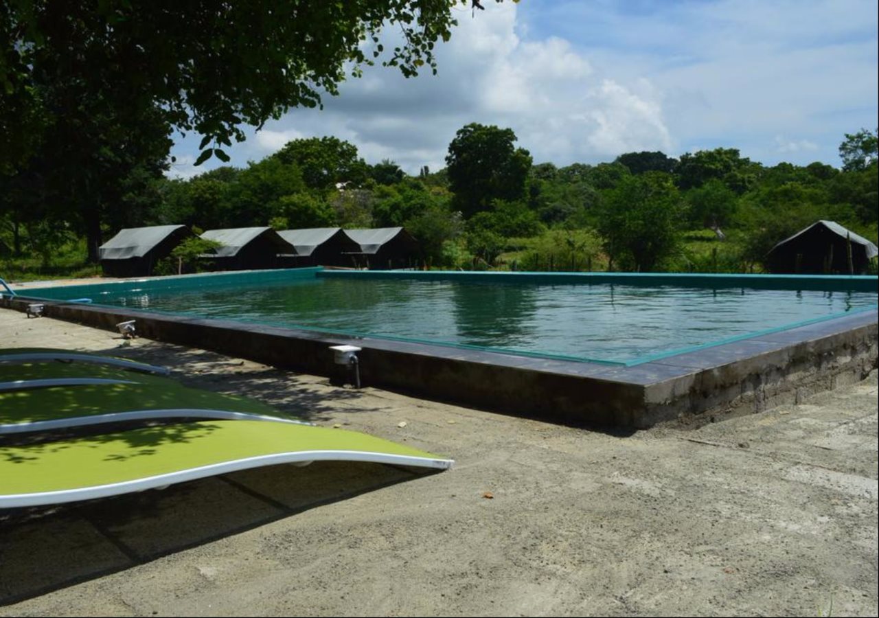 Wild Panthera Yala - last minute hotel in Colombo