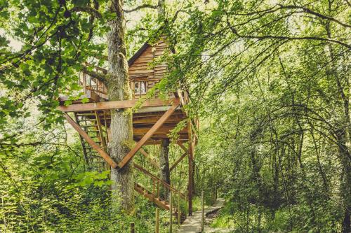 Okolin Basoa Suites - carbon neutral hotel in Unknown City