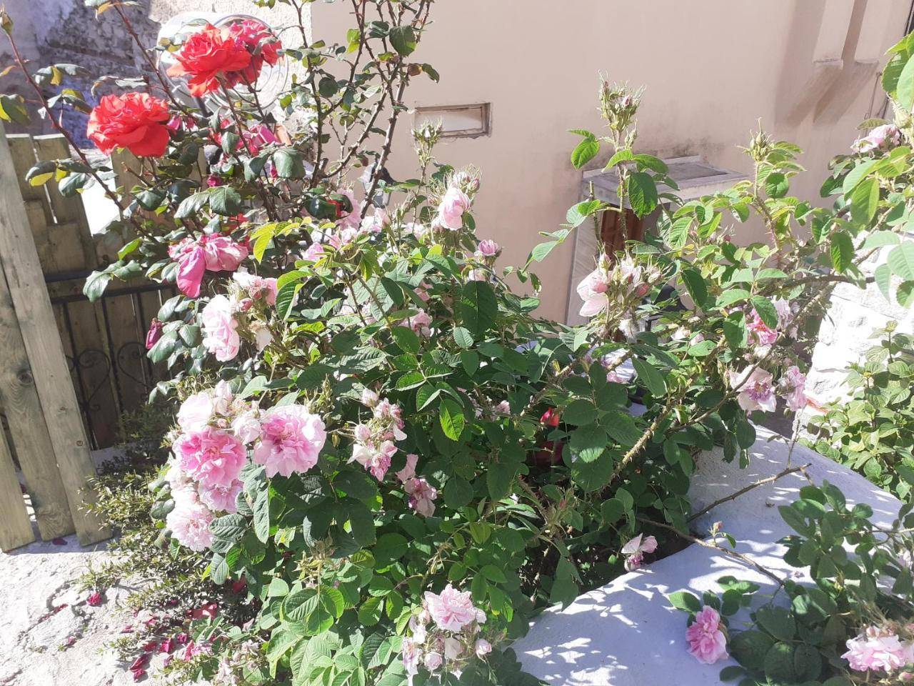 Old Town Mini Room — 4-Star Luxury Hotel in Kavala, Greece