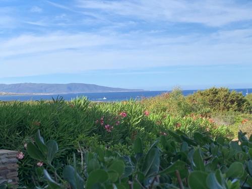 Appartamento Sole e Mare — 4-Star Luxury Hotel in Stintino, Italy