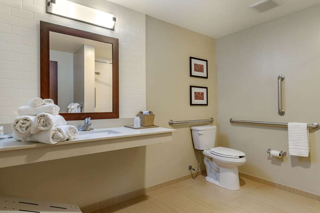 Comfort Suites Manheim Lancaster - photo 19
