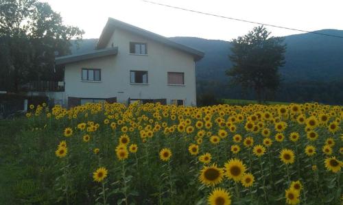 Rela - last minute hotel in La Motte-Servolex