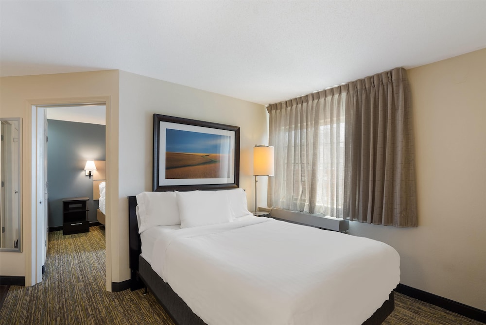 Sonesta Simply Suites Arlington Entertainment District - photo 13