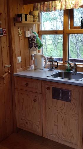 Cozy Cabin in the Woods