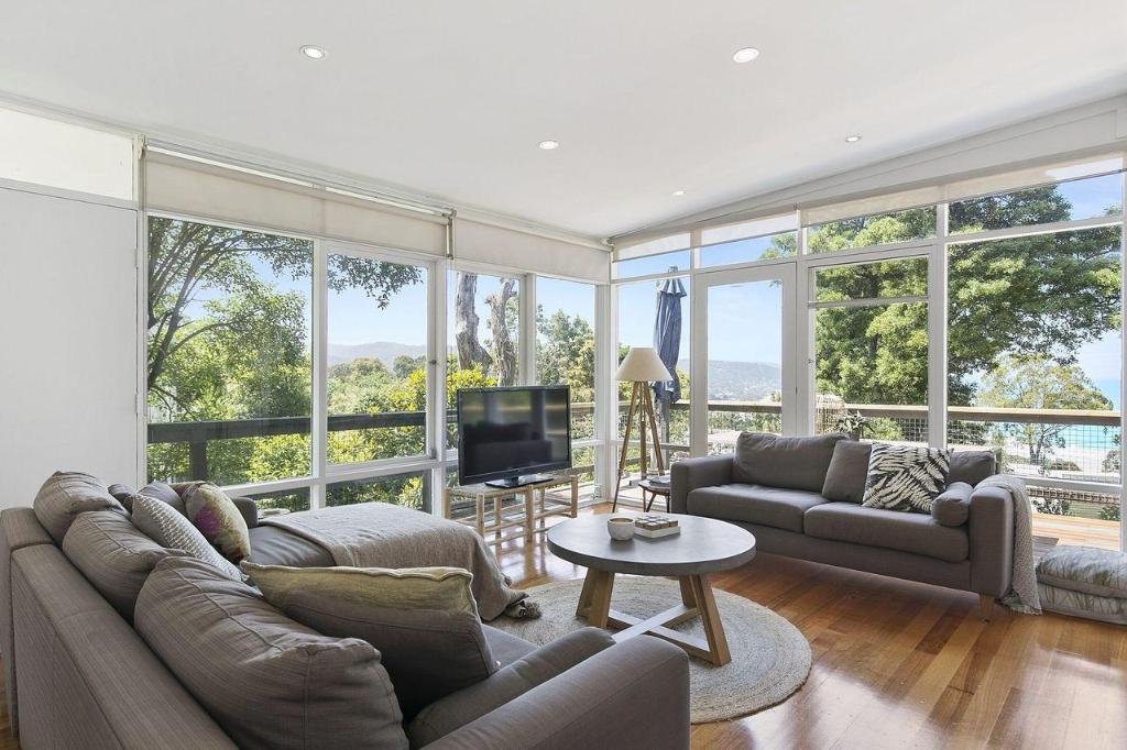 Bowerbird at Lorne in Lorne, Australia