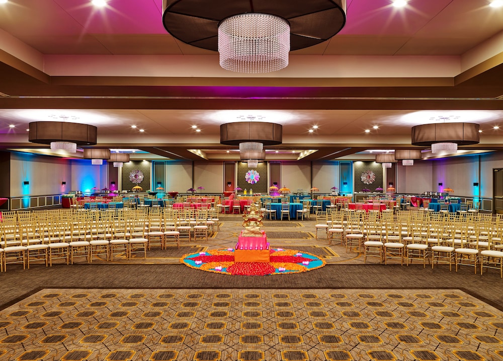 Sheraton Lisle Naperville Hotel - photo 27