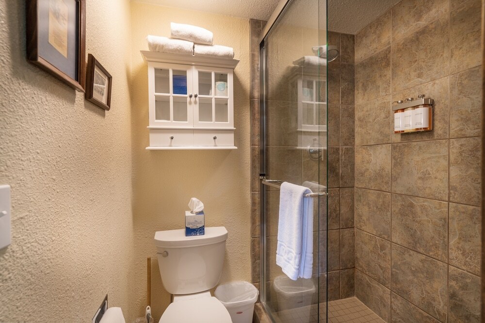 Manitou Lodge 11 Hotel Room by Alpine Lodging Telluride - photo 8