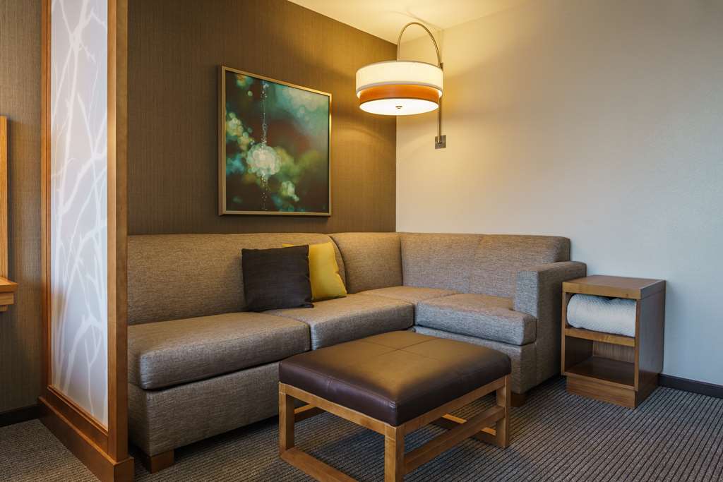 Hyatt Place Houston Galleria - photo 20