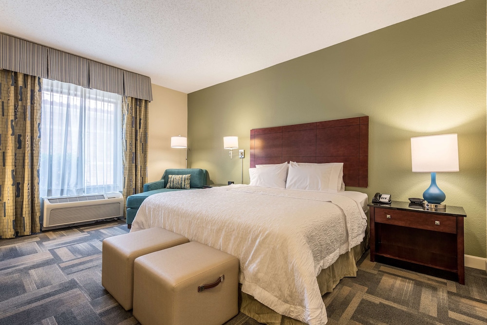 Hampton Inn & Suites Orlando South Lake Buena Vista - photo 7