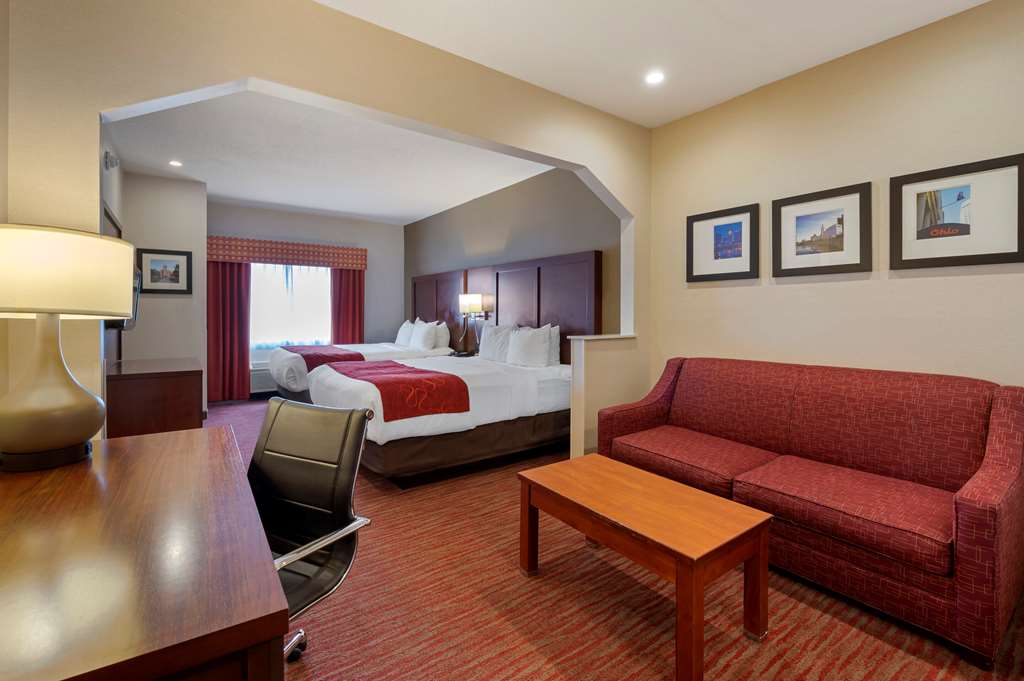 Comfort Suites Columbus Expo Center - photo 13