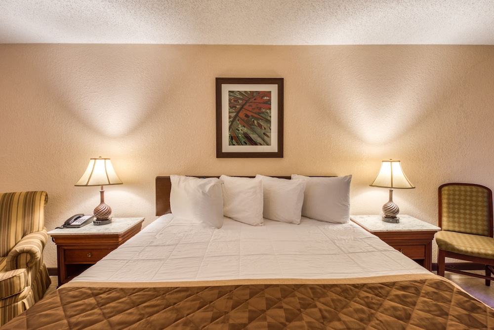 Palms Garden Inn - photo 14