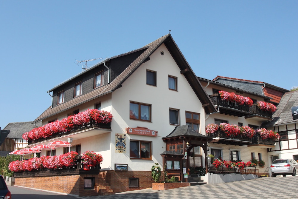 Landgasthof Hotel Sauer — Willingen