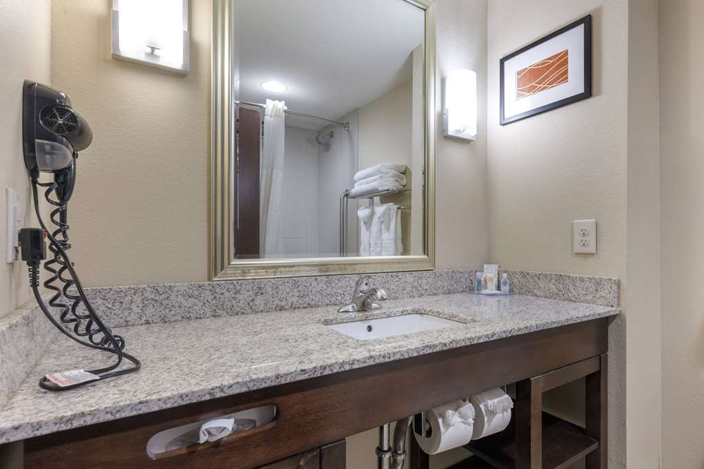 Comfort Inn & Suites West Artesia - photo 19