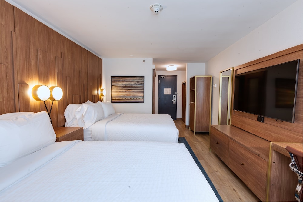 Hotel Indigo Detroit Downtown by IHG - photo 29
