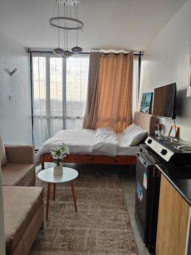 Fedha A modern furnished Studio Apartment near JKIA and SGR free WIFI Parking