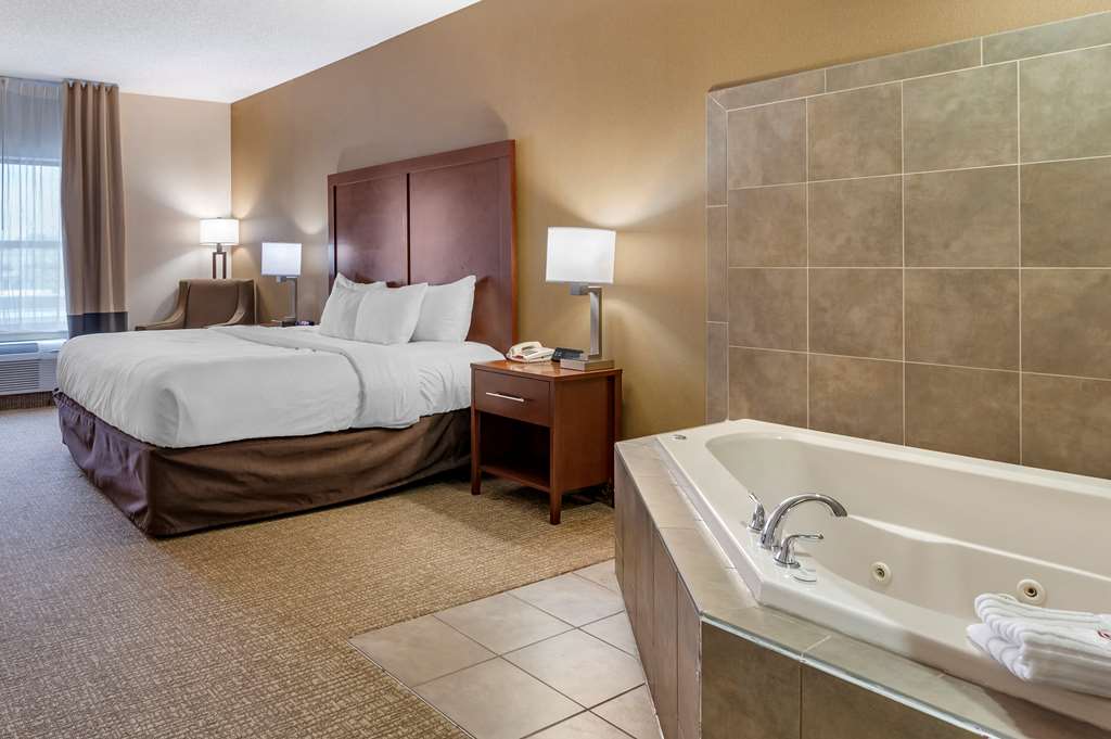 Comfort Inn Louisville Southwest - photo 8