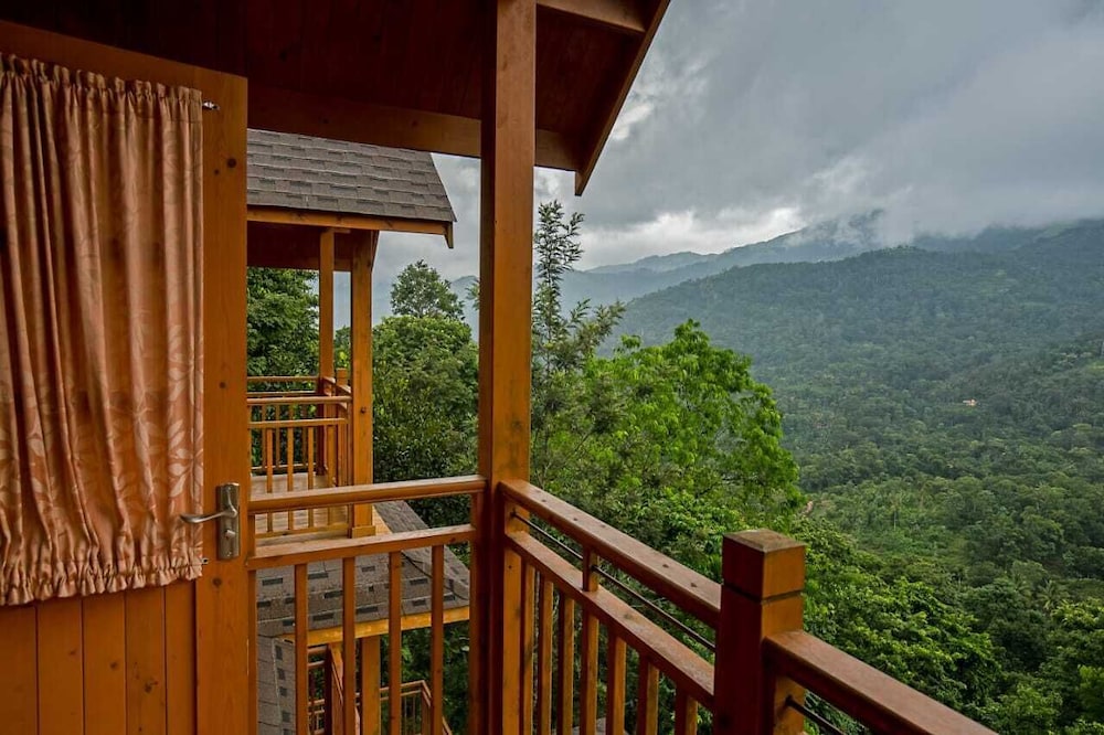 Camellia and Elettaria in Munnar, India