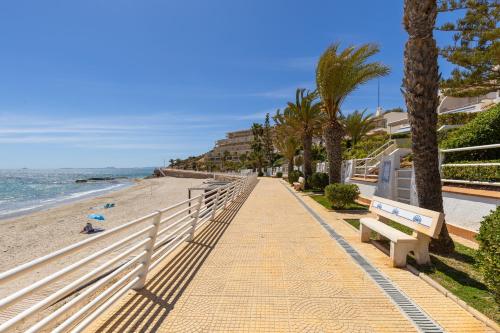 Fidalsa Famous Spot — Orihuela — photo 4