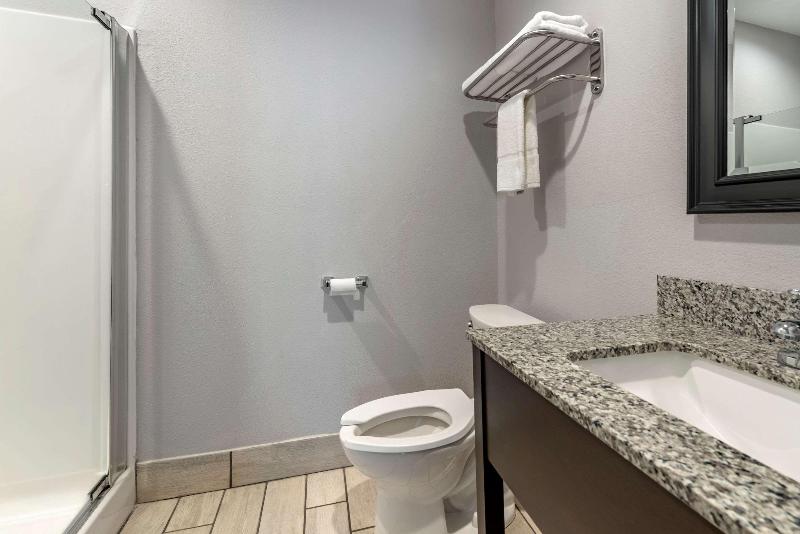 Quality Inn & Suites Evansville Downtown - photo 57
