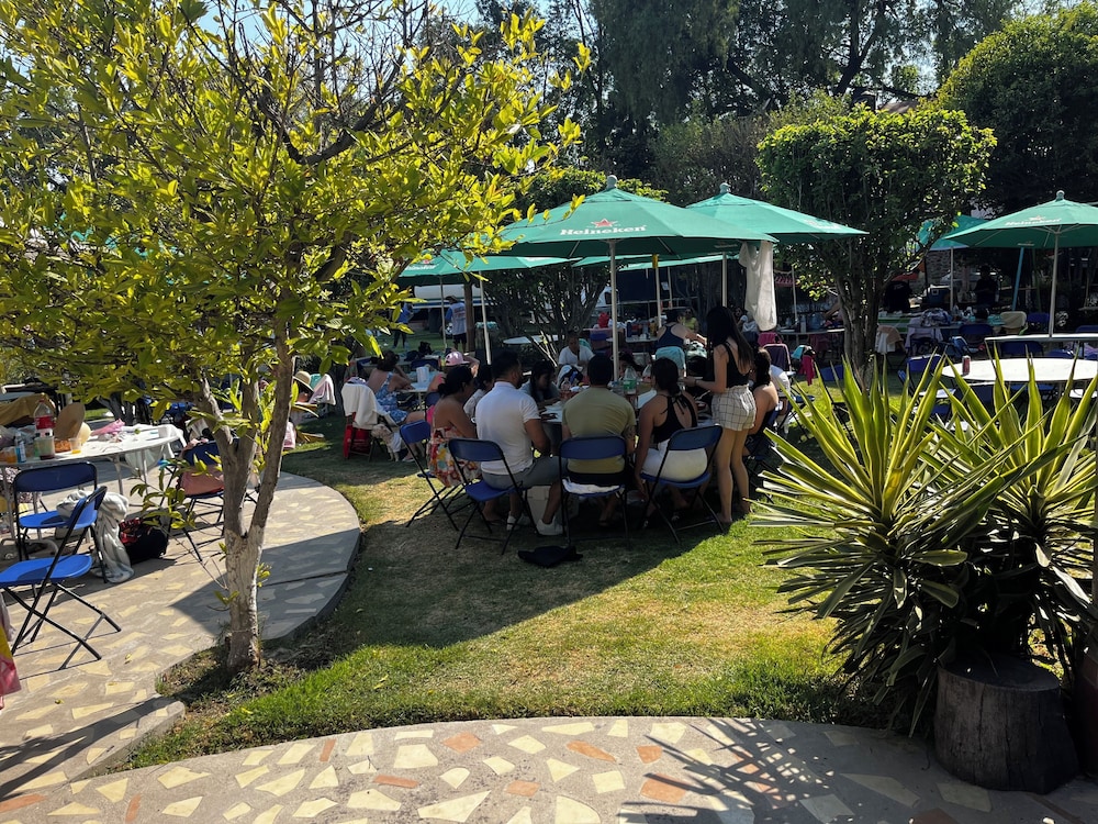 BBQ/picnic area