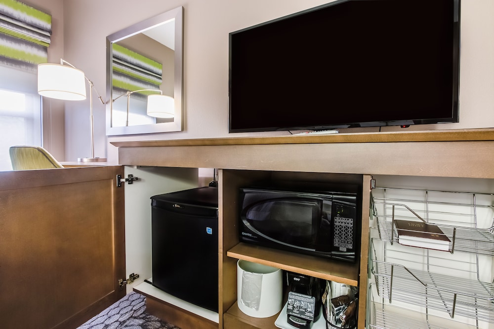 Hampton Inn Dickson - photo 12