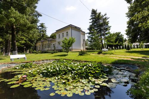 Conacul Buzdugan - last minute hotel in Moinesti