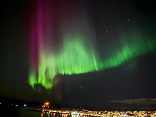 Gammelgårdvegen 31 — 4-Star Luxury Hotel in Tromso, Norway