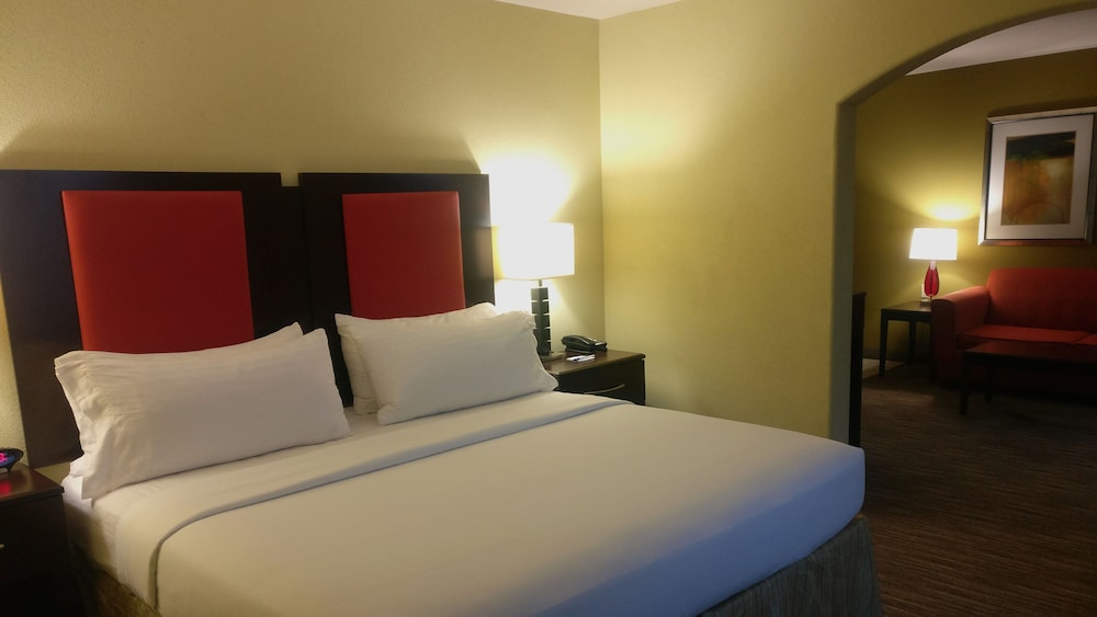 Holiday Inn Express & Suites Waller Prairie View by IHG - photo 8