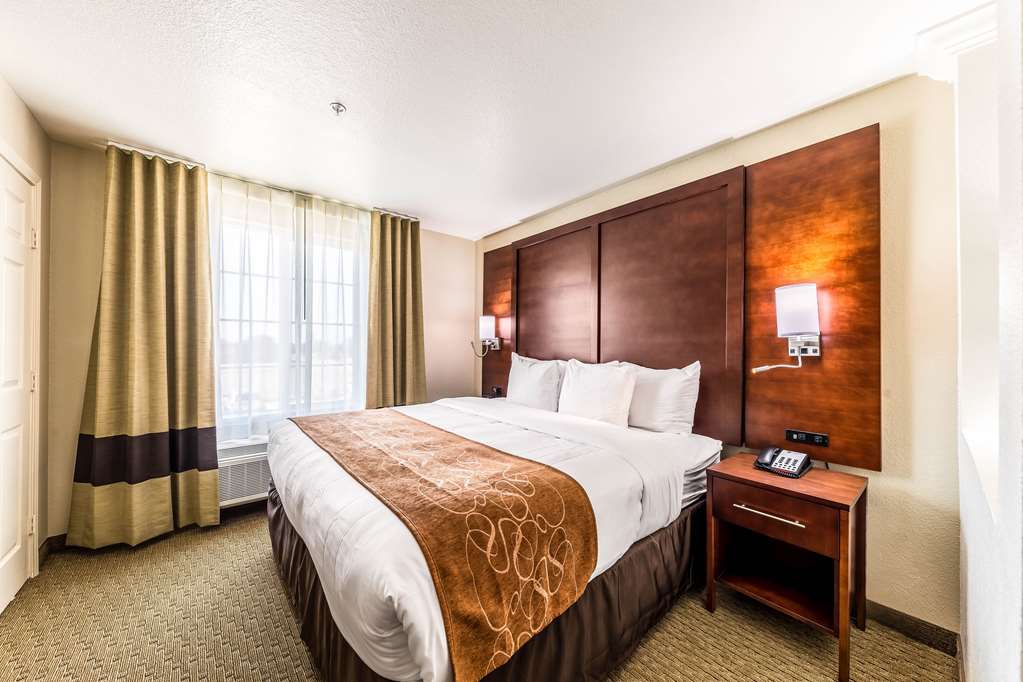 Comfort Suites Grand Prairie Arlington North - photo 15