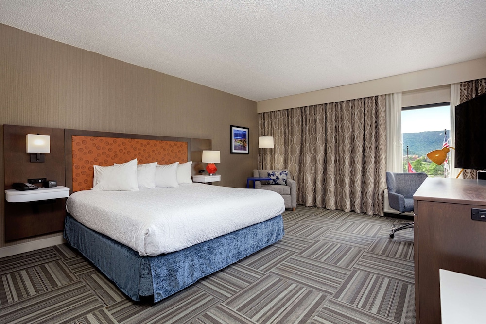 Hampton Inn Kingsport - photo 6