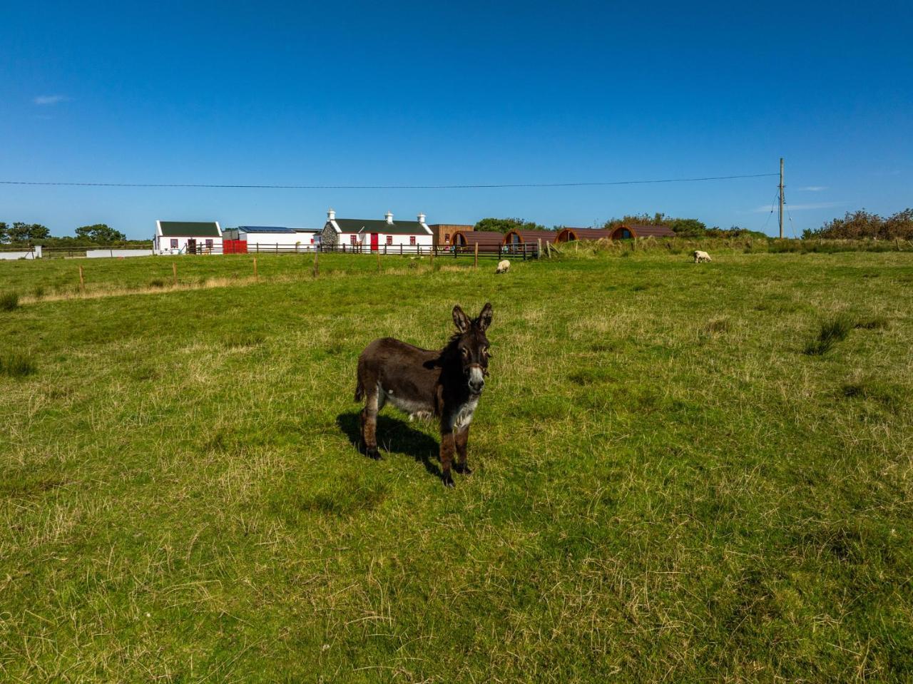 Geraghtys Farmyard Pods