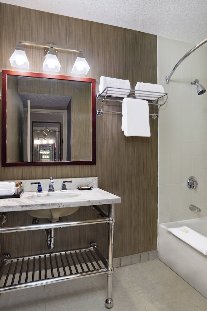 Sheraton Philadelphia University City Hotel - photo 14
