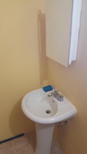 A Toda Vela in Vieques, Puerto Rico