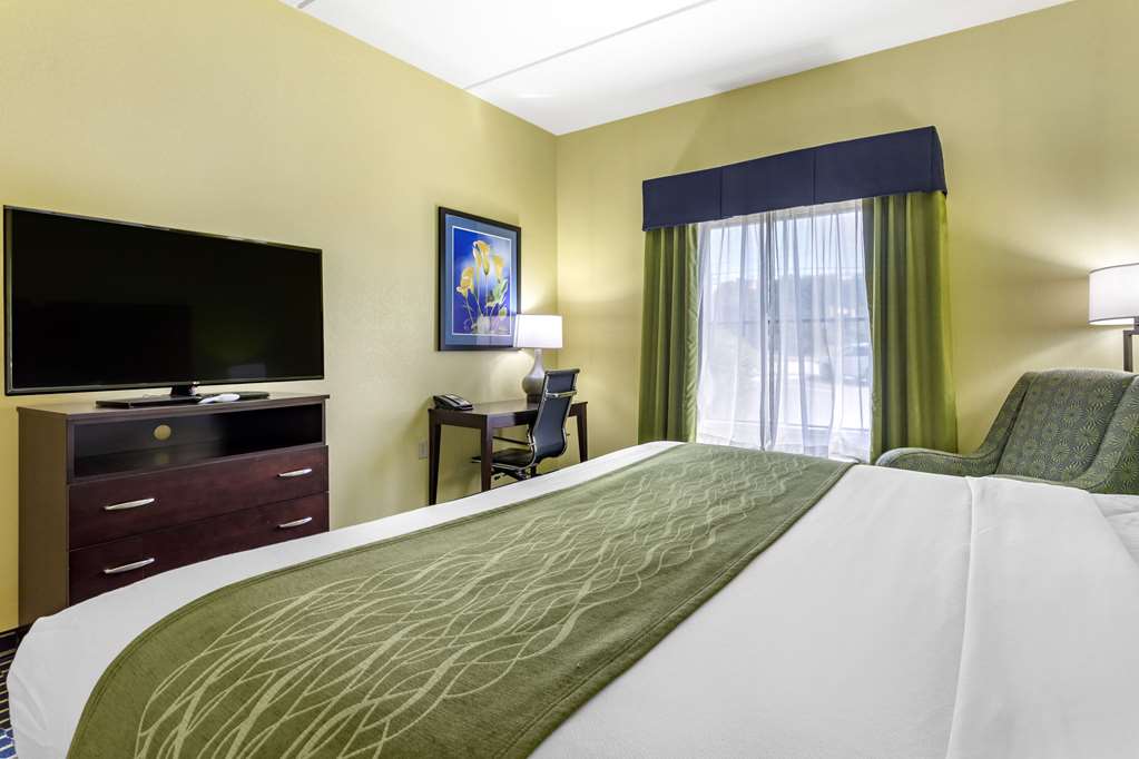 Comfort Inn Athens - photo 10