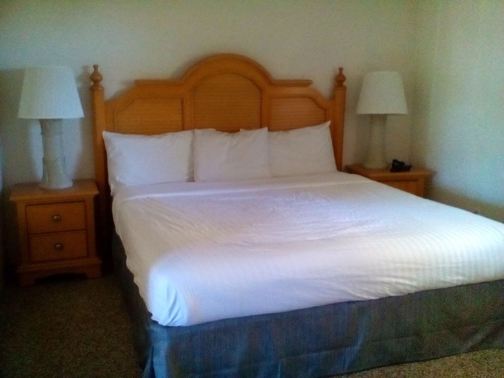 Dockside Inn & Resort - photo 3