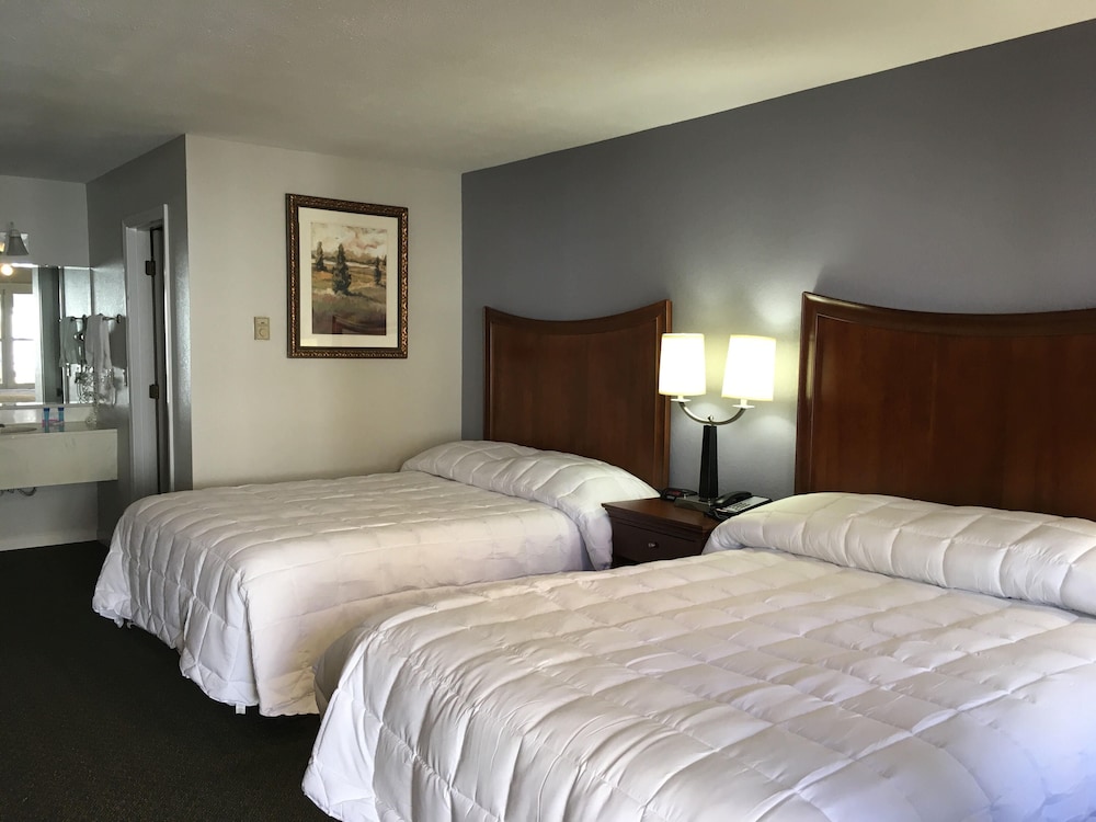 The University Inn - photo 3