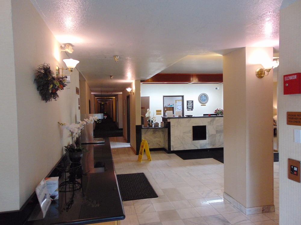 Bellis Inn - photo 6
