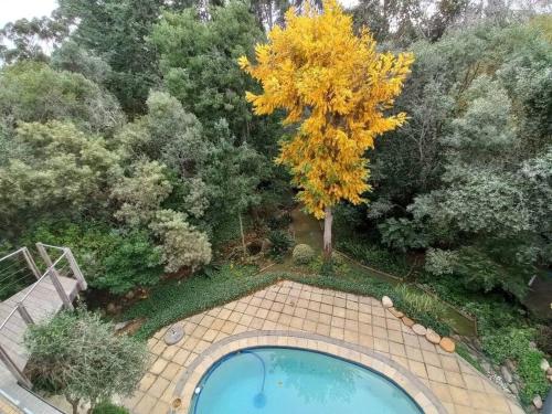 Pecan Tree Forest Studio B — 4-Star Luxury Hotel in Stellenbosch, South Africa