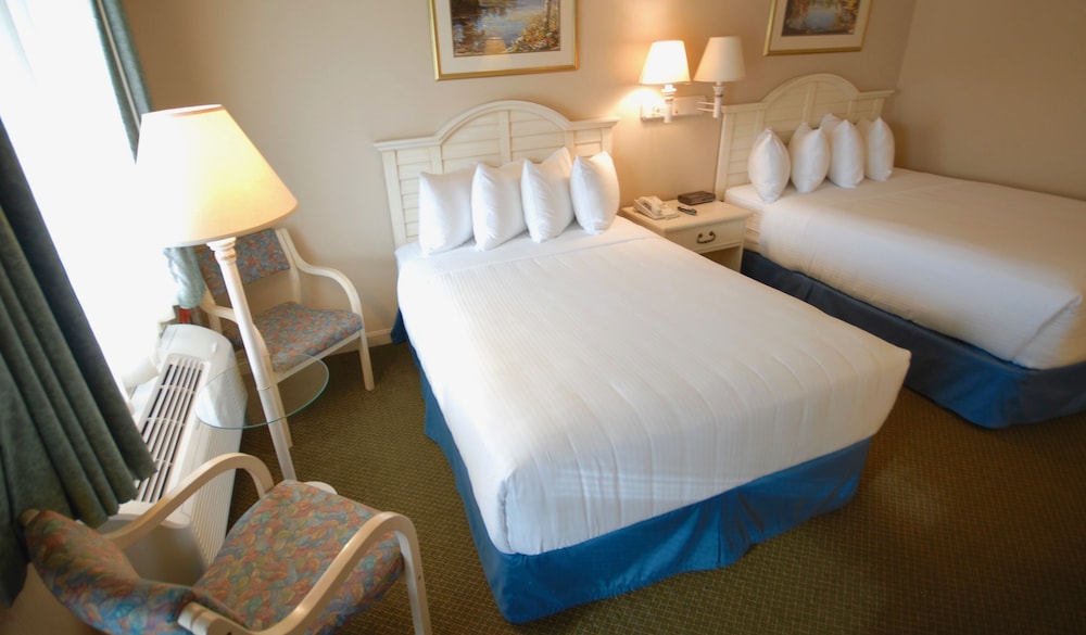 The Naswa Resort - photo 5