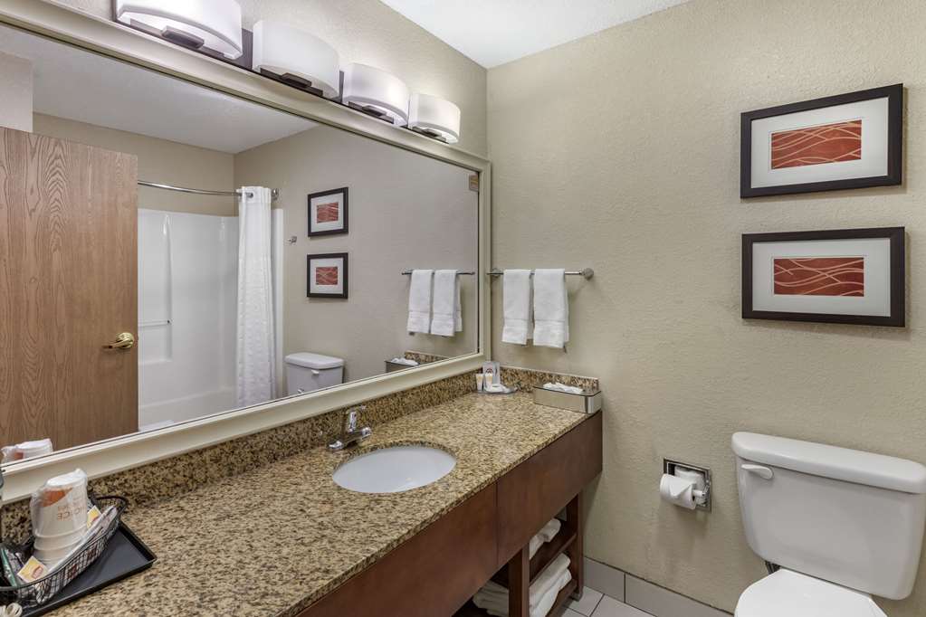 Comfort Inn Denver West Arvada Station - photo 46