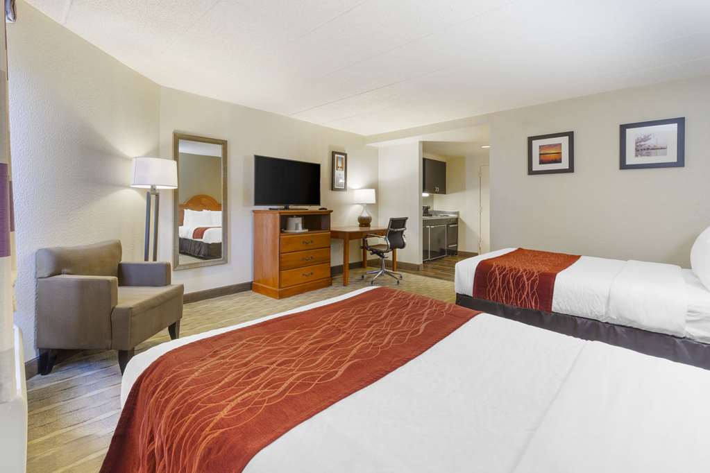 Comfort Inn University Center - photo 30