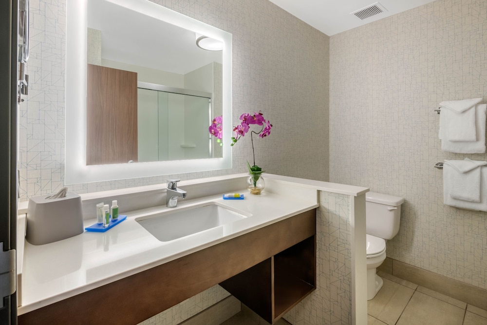 Holiday Inn Express & Suites Wildwood The Villages by IHG - photo 39