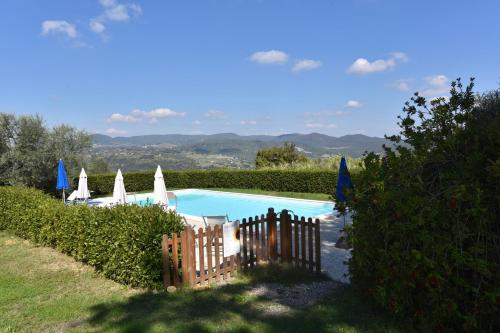 Case&Colline La Mimosa — Montescudaio — photo 2