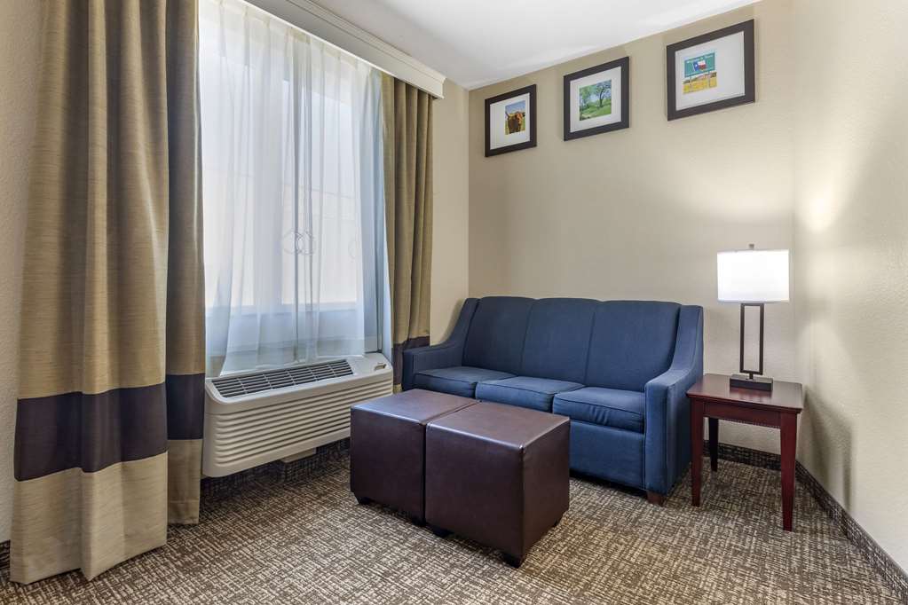 Comfort Suites Plano Dallas North - photo 7